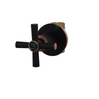 Registro Ducha Timote Negro Antiguo