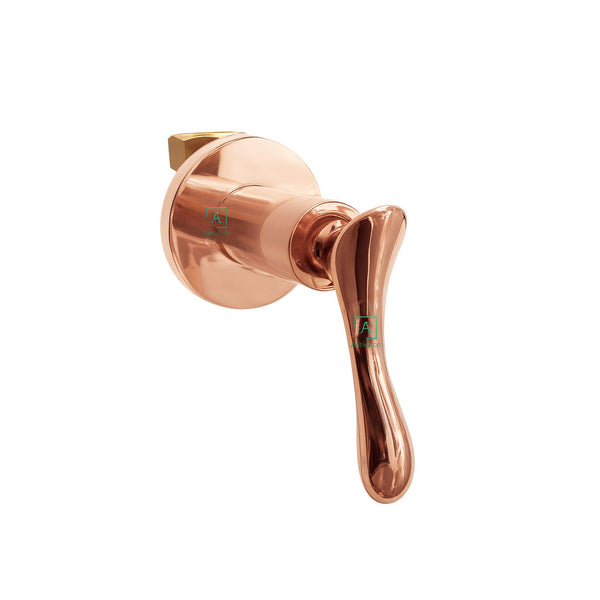 Registro Ducha Alma Oro Rosa