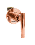 Registro ducha Palnaca Oro rosa+ Ducha 20cm