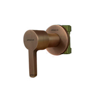 Registro Ducha Bronce antiguo
