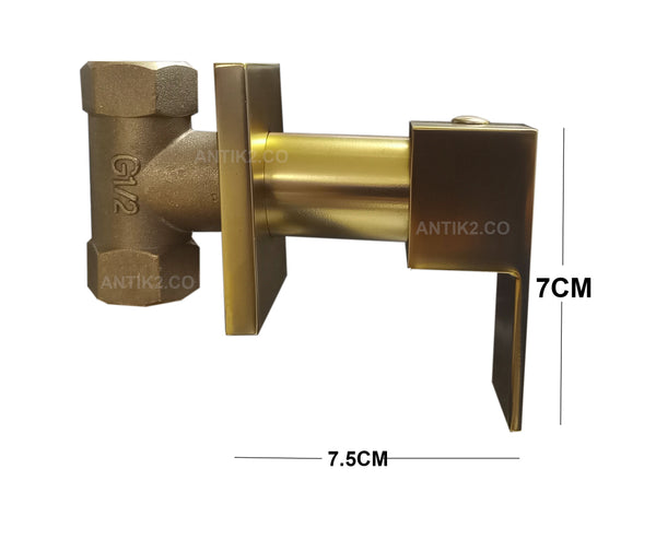 Registro Ducha Cuadrado Dorado Mate