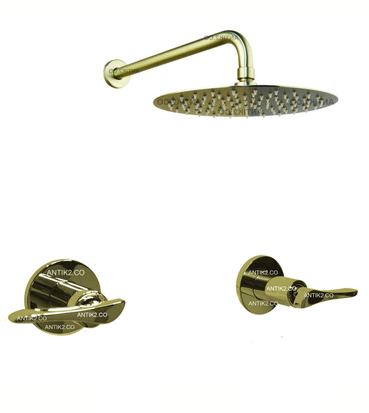 Mezclador Dorado + Ducha 30cm