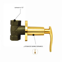 Registro Palanca  Dorado + Ducha 20cm