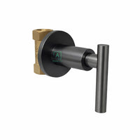 Registro Ducha Novo Palanca  Gun gray