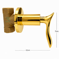Registro Palanca Nantes Dorado + Ducha 30cm