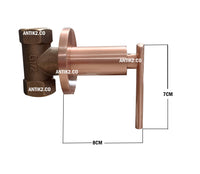 Registro ducha Palnaca Oro rosa Mate+ Ducha 25cm