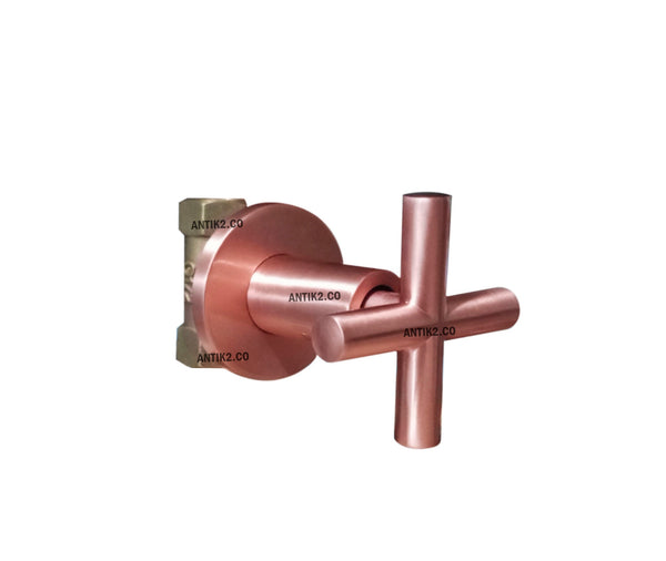 Registro ducha Cruz Oro rosa Mate+ Ducha 30cm