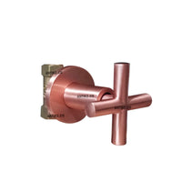 Registro ducha Cruz Oro rosa Mate+ Ducha 25cm