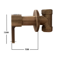 Registro Ducha Bronce antiguo