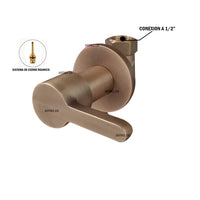 Registro Ducha Bronce antiguo