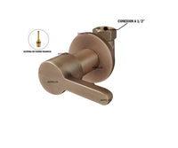 Registro Ducha Bronce antiguo
