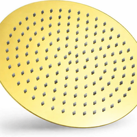 Registro Palanca  Dorado + Ducha 20cm