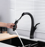Griferia lavaplatos DRG  Extraible Alto negro