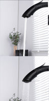 Griferia lavaplatos DRG  Extraible Alto negro