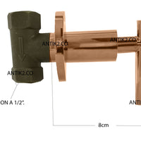 Registro ducha Palnaca Oro rosa+ Ducha 20cm