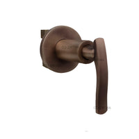 Registro Palanca Bronce Antiguo + Ducha 20cm