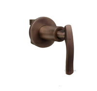 Registro Palanca Bronce Antiguo + Ducha 25cm