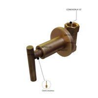 Registro Ducha Vintage Bronce antiguo