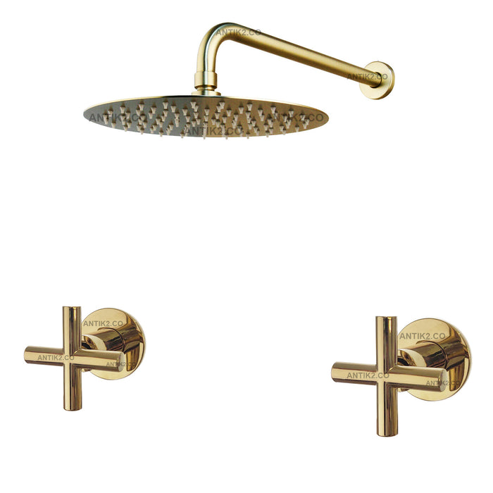 Mezclador Ducha dorado + 30cm