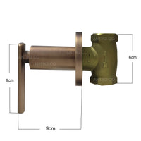 Registro Ducha Palanca  Bronce antiguo