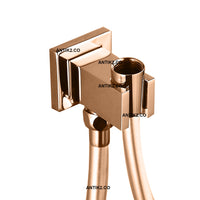 Soporte Para teleducha Oro Rosa  Con Conexion a 1/2 Pulgada